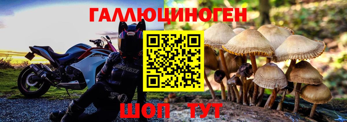 Псилоцибиновые грибы Magic Shrooms Тайшет